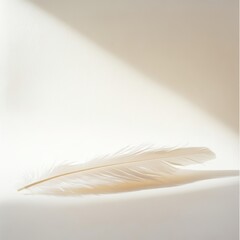 Wall Mural - soft white feather on light background with gentle shadows effect