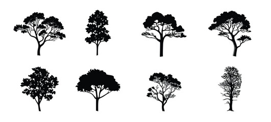 tree silhouettes. evergreen forest firs and spruces black shapes, wild nature trees templates