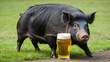 © Jessica - A spoiled marginal wild drunken pig with beer