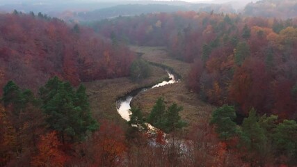 Fototapete - Autumnal landscape of the forest and twisted Radunia river in Kashubia. Poland