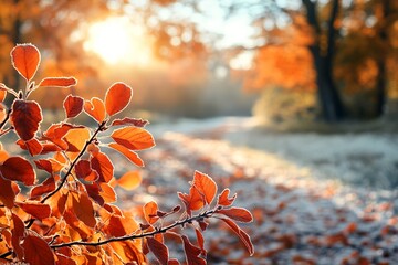 Poster - Close up of reddish orange leaves on bush with soft morning light illuminating frosty autumn landscape : Generative AI