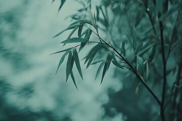 Poster - Gentle bamboo leaves with serene water reflections in a tranquil natural setting : Generative AI