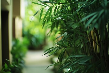 Poster - Lush greenery with soft focus bamboo leaves creating a peaceful garden atmosphere : Generative AI