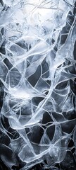 Wall Mural - A surreal ice-weaving pattern where interlaced frozen strands appear translucent and reflective
