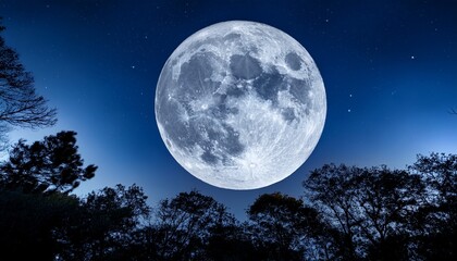Wall Mural - full moon super moon moves through the night sky