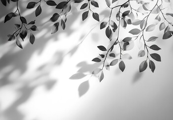 Poster - Stylish black and white composition of leaves with dramatic shadows creating a striking visual impact : Generative AI