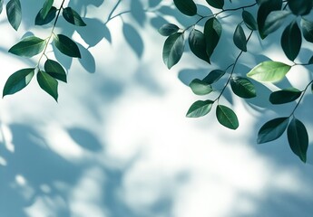 Poster - Vibrant green leaves casting shadows on a minimalist wall creating a serene natural atmosphere : Generative AI