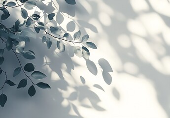Poster - Calm and Serene Green Leaves Casting Gentle Shadows on a Light Background : Generative AI