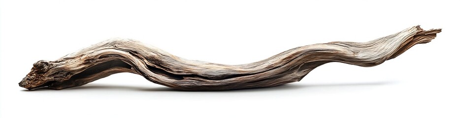 Poster - Unique twisted piece of driftwood showcasing natural texture against a bright clean background : Generative AI