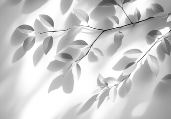 Aufkleber - Dramatic and elegant black and white leaves with striking shadows for contemporary design inspiration : Generative AI