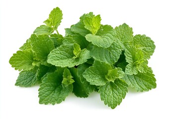 Poster - Fresh Mint Leaves Bunch Used in Cooking and Aromatic Beverages on White Background : Generative AI