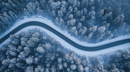 Aufkleber - Snowy road meanders through dense forest under a blanket of winter wonderland