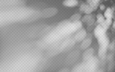 Wall Mural - abstract shadow overlay from foliage on a transparent background.