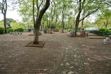 A Chinese urban park featuring a brick-paved plaza with seating benches, and mature trees placed in individual tree wells, creating a geometric and structured landscape and hardscaping design. 