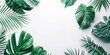 © Molly P - Tropical leaves frame with mint green background. Background image of green tropical leaves with minimal style. Digital image for botanical and summer design. Relaxation and building design. AIG51.