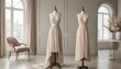 © Dollar - Elegant Dresses on Mannequins Decorate Bright Interior with Window Curtains