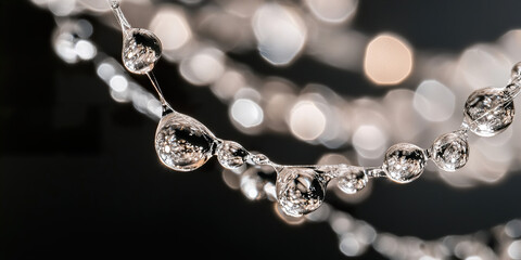 Wall Mural - 

Raindrops Glistening on a Delicate Spiderweb in Natural Light