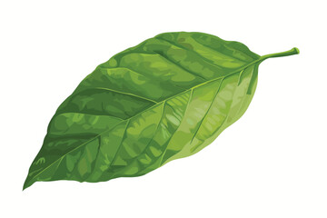 Wall Mural - ai-generated illustration of a green leaf