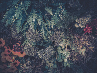 Wall Mural - artificial flowers and foliage create a textured botanical display. various blooms and leaves are ar