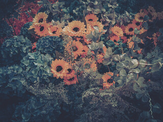 Wall Mural - artificial flowers, including sunflowers and hydrangeas, are arranged together in a moody, slightly 