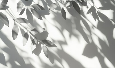 Intricate shadows of leaves cast on a modern white wall, creating a serene and natural play of light and texture