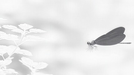 Wall Mural - minimal concept background of metallic dragonfly, intricately detailed wings reflecting light, hover