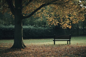 Aufkleber - Solitary bench under a leafy tree in a park with fallen leaves illuminated by soft autumn light Generative AI