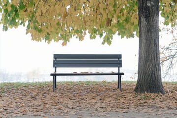 Fototapete - Solitary bench under a tree in a park surrounded by golden autumn leaves with soft light and open space for text above Generative AI