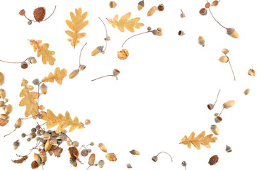Wall Mural - Abstract arrangement of oak acorns isolated on white background. Set of dry brown acorns, leaves.