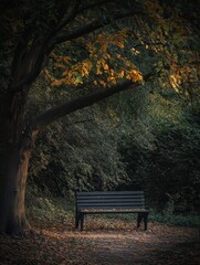 Aufkleber - Solitary bench under a tree in a tranquil park setting with fallen leaves and soft autumn light Generative AI