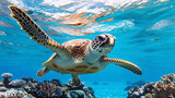Sea turtle swimming over coral reef in clear blue water