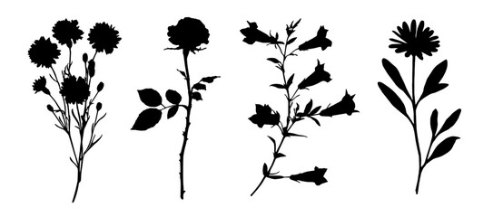 Silhouette black flower. Abstract botanical floral elements. Set of simple plants