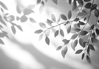 Poster - Elegant black and white shadow play of leaves creating unique patterns on a light background : Generative AI