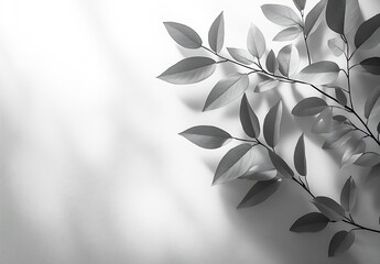 Poster - Elegant monochrome image of soft leaves casting shadows on a simple white background : Generative AI