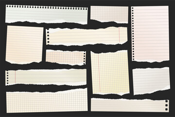 Wall Mural - ripped paper strips. realistic crumpled paper scraps with torn edges. shreds of notebook, book or ol