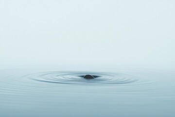 Wall Mural - calm water surface with concentric ripples from a small dark stone.