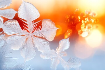 Wall Mural - A close-up of frost patterns on a windowpane, with intricate designs illuminated by morning sunlight