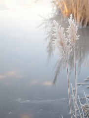 Leinwandbilder - Frosty crystals and reflections capturing the essence of winter tranquility in a serene landscape at sunrise
