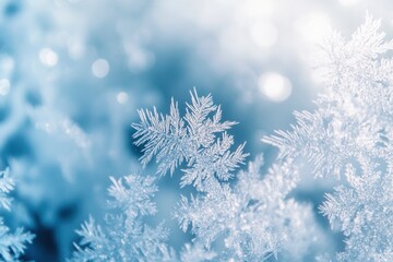 Leinwandbilder - Delicate frozen ice crystals showcase subtle reflections in an abstract frosty pattern during a serene winter morning