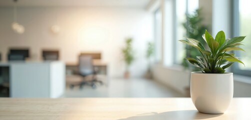 Poster - Out-of-focus white office interior. Minimal details provide neutral, pro background. Green potted plant on table against blurred office setting creates calm, eco workplace atmosphere. Ideal for