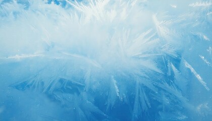 Poster - delicate frost patterns on frozen glass with an icy blue background, creating a natural winter texture for seasonal designs and wallpaper