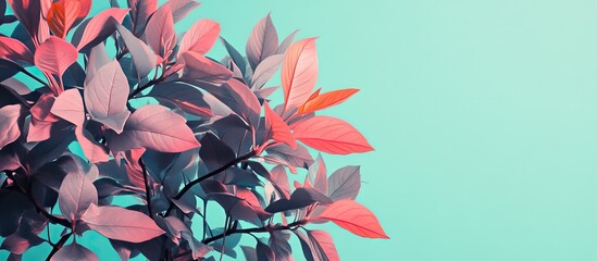 Poster - Vibrant mint background with twenty colorful banners or signs accented by pink and teal leaves creating a soothing yet eye-catching visual aesthetic