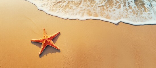 Poster - Starfish on a sandy beach with gentle waves in the background orange starfish positioned centrally against golden sand and ample space for text