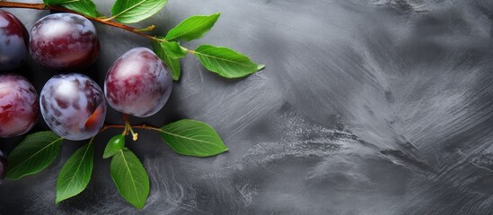 Poster - Juicy garden plums with purple and red hues nestled on a gray cutting board with fresh green leaves creating natural copy space on the right