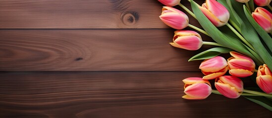 Fototapete - Vibrant pink and orange tulips arranged on the right side of a dark wooden surface with ample copy space on the left for text or images