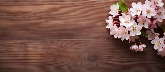 Leinwandbilder - Cherry blossom bouquet on a brown wooden background with empty space for text on the right side featuring soft pink and rich brown tones.
