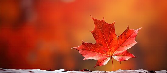 Poster - Vibrant red maple leaf positioned center bottom against a blurred autumn background of warm orange hues with ample copy space above.