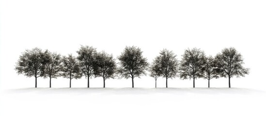 Aufkleber - Row of ten lush green trees with detailed foliage against a bright white background, evenly spaced for a clean, minimalist composition.