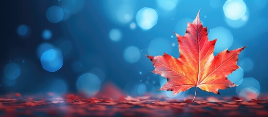 Poster - Vibrant red maple leaf positioned on the right against a soft blue bokeh background with ample copy space on the left side