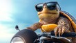 © Nataliia_Trushchenko - Turtle wearing sunglasses is riding a motorcycle. The turtle is wearing a black helmet and sunglasses, and the motorcycle is black. The image has a playful and lighthearted mood